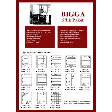 PULKO HistorY 1970 BIGGA Yapraklar,