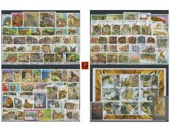 PULKO HistorY 1970 100 Çeşit Damgalı Pul Koleksiyonu Yırtıcı Kediler