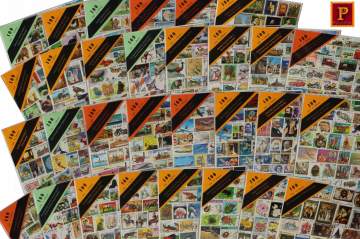 PULKO Philatelie Startpaket (Leuchtturm BASIC W16 Briefmarkenalbum, 100 verschiedene Briefmarken, Briefmarkenzange und Lupe),