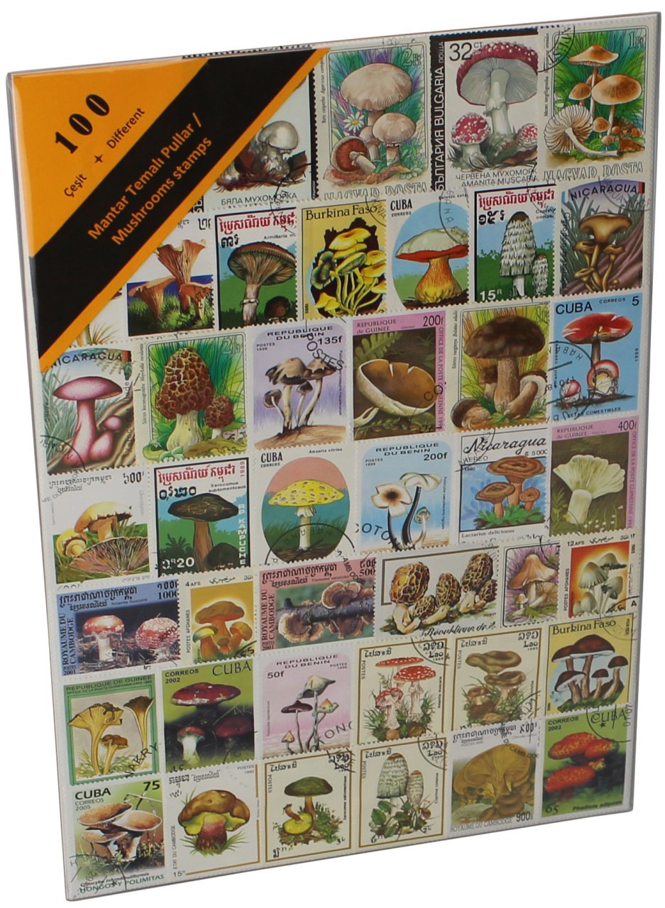 PULKO HistorY 1970 100 Çeşit Damgalı Tematik (İnce, jelatinli paket) (YENİ), Mantar Temalı Pullar