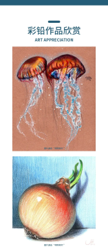 Caran D'ache, Yumuşak Beyaz Pastel Kalem