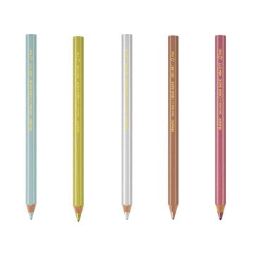 Caran d'Ache MAXI BOYA KALEMİ,