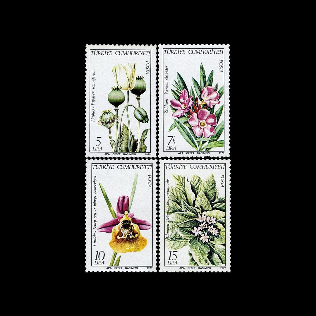 土耳其植物（1979年11月26日）- 土耳其共和国邮票收藏