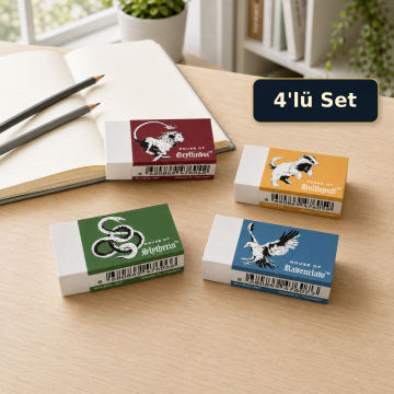 SERVE Deep Silgi  - Harry Potter 4'lü Set