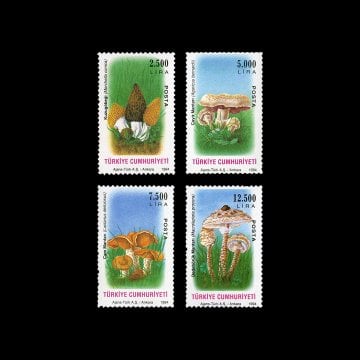 Mushrooms (16 November 1994) - Republic of Türkiye Stamp Collection