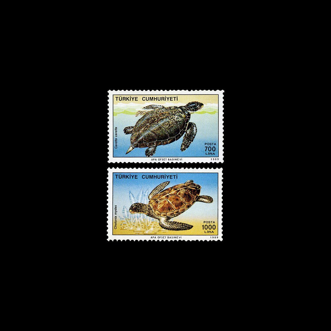 Sea Turtles (November 16, 1989) - Republic of Türkiye Stamp Collection