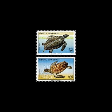 Sea Turtles (November 16, 1989) - Republic of Türkiye Stamp Collection