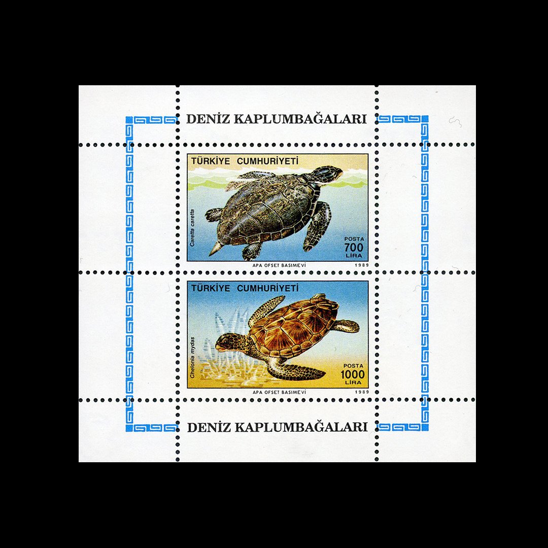 Sea Turtles Memoir Bloc (16. November 1989) - Die Republik Turkey Briefmarke Sammlung