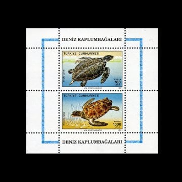 Deniz Kaplumbağaları Hatıra Bloğu (16 Kasım 1989) - Türkiye Cumhuriyeti Pul Koleksiyonu